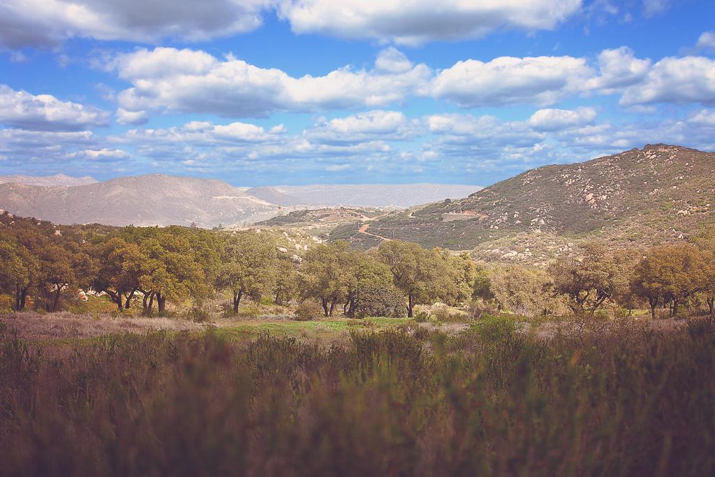 Hotel Boutique Rancho טקאטה מראה חיצוני תמונה